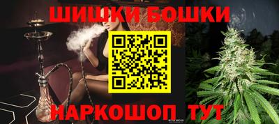 прущие грибы Комсомольск-на-Амуре