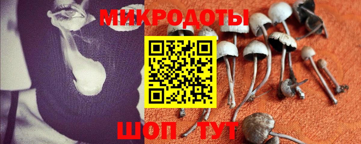 Галлюциногенные грибы прущие грибы  Вход с VPN  Зеленокумск  Псилоцибиновые грибы Cubensis 